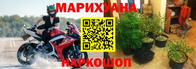сатива Конаково