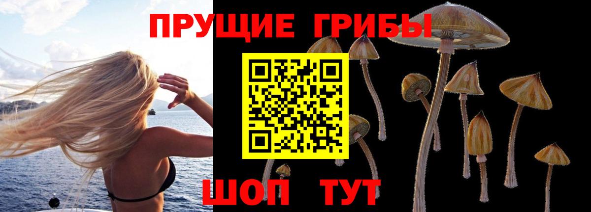 Псилоцибиновые грибы MAGIC MUSHROOMS Кемерово